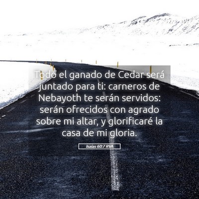Picture 05 - Isaías 60:7 RVA - Todo el ganado de Cedar será juntado para ti: - Bible Verse Picture