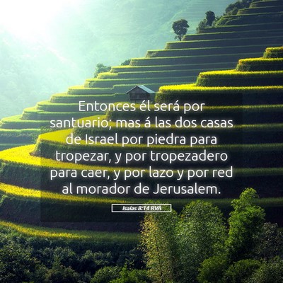 Picture 05 - Isaías 8:14 RVA - Entonces él será por santuario; mas á las dos - Bible Verse Picture