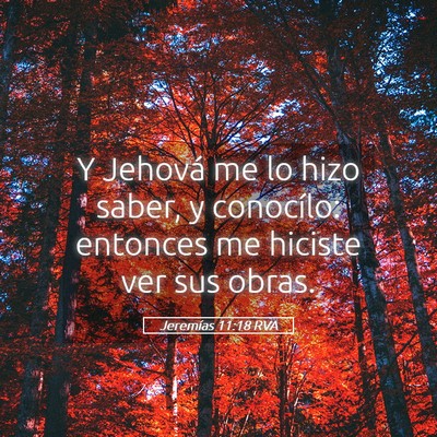 Picture 05 - Jeremías 11:18 RVA - Y Jehová me lo hizo saber, y conocílo: entonces - Bible Verse Picture