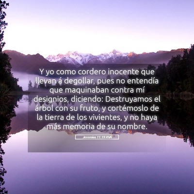Picture 05 - Jeremías 11:19 RVA - Y yo como cordero inocente que llevan á - Bible Verse Picture
