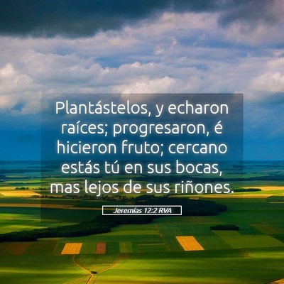 Picture 05 - Jeremías 12:2 RVA - Plantástelos, y echaron raíces; progresaron, é - Bible Verse Picture