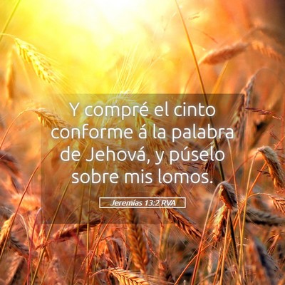 Picture 05 - Jeremías 13:2 RVA - Y compré el cinto conforme á la palabra de - Bible Verse Picture