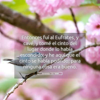 Picture 05 - Jeremías 13:7 RVA - Entonces fuí al Eufrates, y cavé, y tomé el - Bible Verse Picture