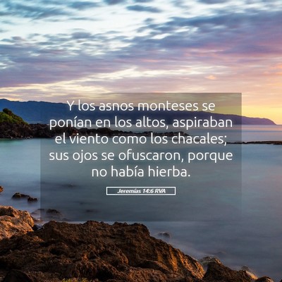 Picture 05 - Jeremías 14:6 RVA - Y los asnos monteses se ponían en los altos, - Bible Verse Picture