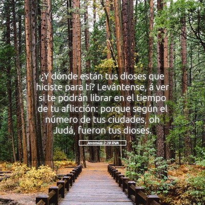 Picture 05 - Jeremías 2:28 RVA - ¿Y dónde están tus dioses que hiciste para - Bible Verse Picture