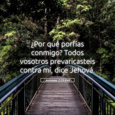 Picture 05 - Jeremías 2:29 RVA - ¿Por qué porfías conmigo? Todos vosotros - Bible Verse Picture