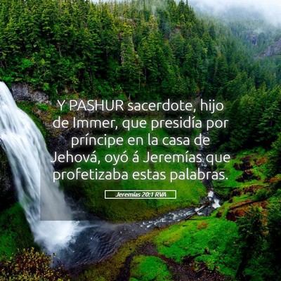 Picture 05 - Jeremías 20:1 RVA - Y PASHUR sacerdote, hijo de Immer, que presidía - Bible Verse Picture