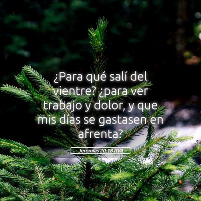 Picture 05 - Jeremías 20:18 RVA - ¿Para qué salí del vientre? ¿para ver trabajo - Bible Verse Picture