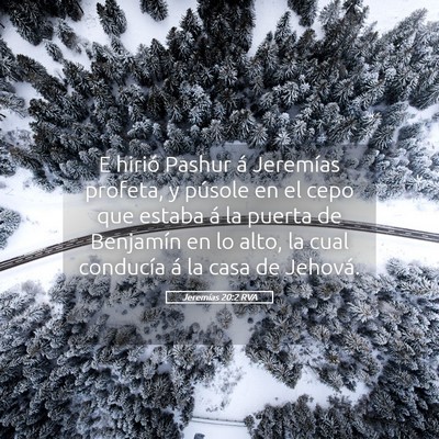 Picture 05 - Jeremías 20:2 RVA - E hirió Pashur á Jeremías profeta, y púsole - Bible Verse Picture