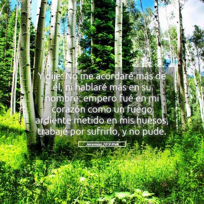 Picture 05 - Jeremías 20:9 RVA - Y dije: No me acordaré más de él, ni hablaré - Bible Verse Picture