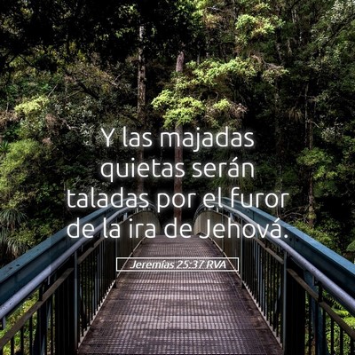 Picture 05 - Jeremías 25:37 RVA - Y las majadas quietas serán taladas por el furor - Bible Verse Picture