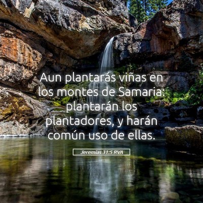 Picture 05 - Jeremías 31:5 RVA - Aun plantarás viñas en los montes de Samaria: - Bible Verse Picture