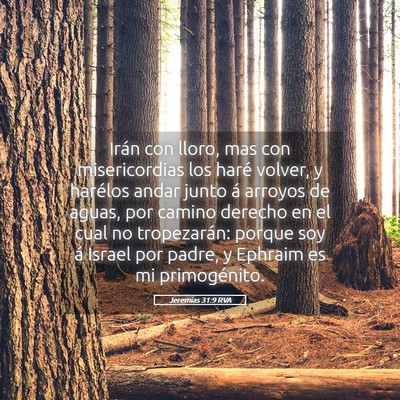 Picture 05 - Jeremías 31:9 RVA - Irán con lloro, mas con misericordias los haré - Bible Verse Picture