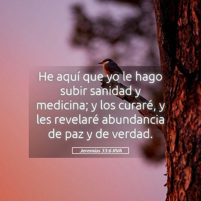 Picture 05 - Jeremías 33:6 RVA - He aquí que yo le hago subir sanidad y medicina; - Bible Verse Picture