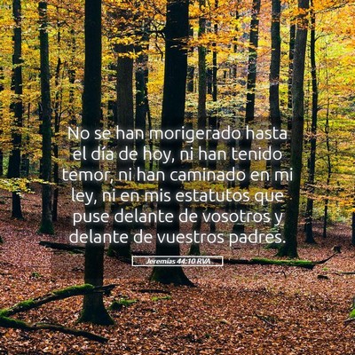 Picture 05 - Jeremías 44:10 RVA - No se han morigerado hasta el día de hoy, ni han - Bible Verse Picture