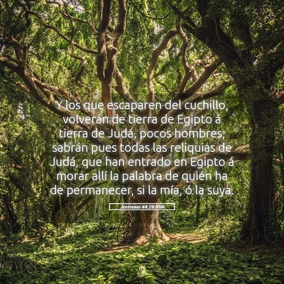 Picture 05 - Jeremías 44:28 RVA - Y los que escaparen del cuchillo, volverán de - Bible Verse Picture