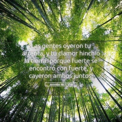 Picture 05 - Jeremías 46:12 RVA - Las gentes oyeron tu afrenta, y tu clamor - Bible Verse Picture
