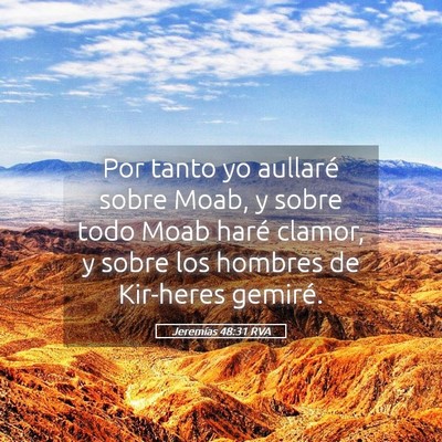 Picture 05 - Jeremías 48:31 RVA - Por tanto yo aullaré sobre Moab, y sobre todo - Bible Verse Picture