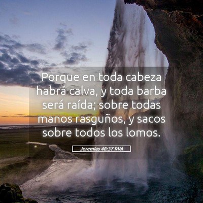 Picture 05 - Jeremías 48:37 RVA - Porque en toda cabeza habrá calva, y toda barba - Bible Verse Picture