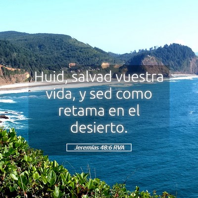 Picture 05 - Jeremías 48:6 RVA - Huid, salvad vuestra vida, y sed como retama en - Bible Verse Picture