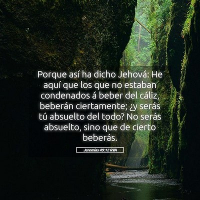 Picture 05 - Jeremías 49:12 RVA - Porque así ha dicho Jehová: He aquí que los - Bible Verse Picture