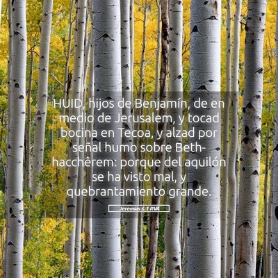 Picture 05 - Jeremías 6:1 RVA - HUID, hijos de Benjamín, de en medio de - Bible Verse Picture