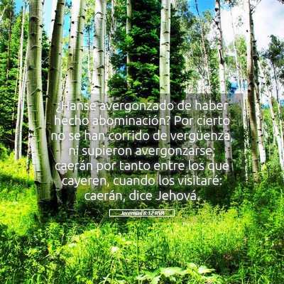 Picture 05 - Jeremías 8:12 RVA - ¿Hanse avergonzado de haber hecho abominación? - Bible Verse Picture