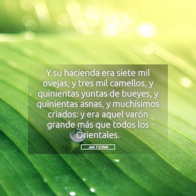 Picture 05 - Job 1:3 RVA - Y su hacienda era siete mil ovejas, y tres mil - Bible Verse Picture