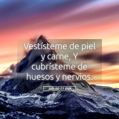 Picture 05 - Job 10:11 RVA - Vestísteme de piel y carne, Y cubrísteme de - Bible Verse Picture