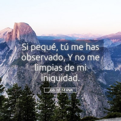 Picture 05 - Job 10:14 RVA - Si pequé, tú me has observado, Y no me limpias - Bible Verse Picture