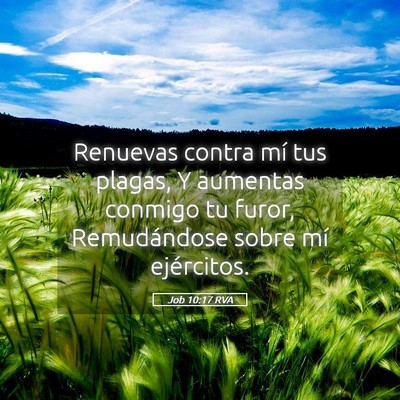 Picture 05 - Job 10:17 RVA - Renuevas contra mí tus plagas, Y aumentas - Bible Verse Picture