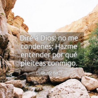 Picture 05 - Job 10:2 RVA - Diré á Dios: no me condenes; Hazme entender por - Bible Verse Picture