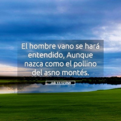 Picture 05 - Job 11:12 RVA - El hombre vano se hará entendido, Aunque nazca - Bible Verse Picture