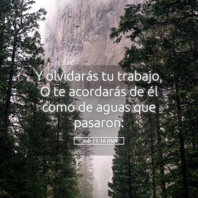 Picture 05 - Job 11:16 RVA - Y olvidarás tu trabajo, O te acordarás de él - Bible Verse Picture