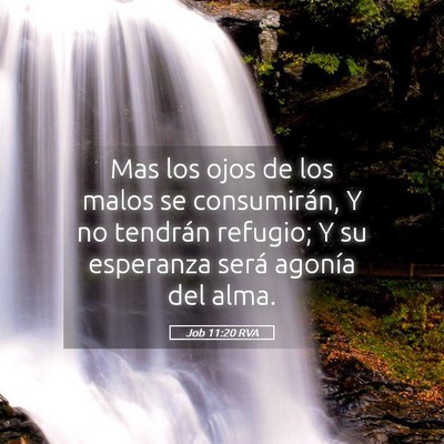 Picture 05 - Job 11:20 RVA - Mas los ojos de los malos se consumirán, Y no - Bible Verse Picture