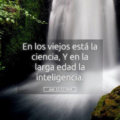 Picture 05 - Job 12:12 RVA - En los viejos está la ciencia, Y en la larga - Bible Verse Picture