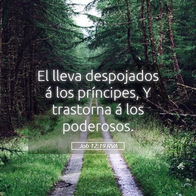 Picture 05 - Job 12:19 RVA - El lleva despojados á los príncipes, Y - Bible Verse Picture