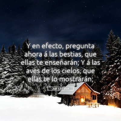 Picture 05 - Job 12:7 RVA - Y en efecto, pregunta ahora á las bestias, que - Bible Verse Picture