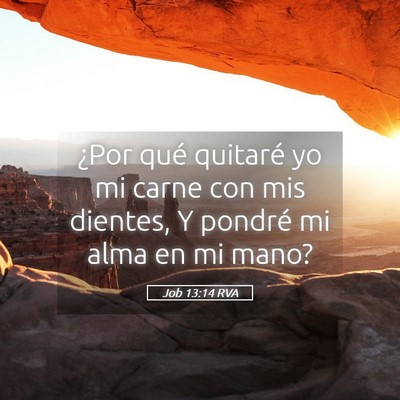 Picture 05 - Job 13:14 RVA - ¿Por qué quitaré yo mi carne con mis dientes, - Bible Verse Picture