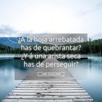 Picture 05 - Job 13:25 RVA - ¿A la hoja arrebatada has de quebrantar? ¿Y á - Bible Verse Picture