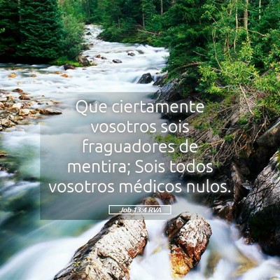 Picture 05 - Job 13:4 RVA - Que ciertamente vosotros sois fraguadores de - Bible Verse Picture