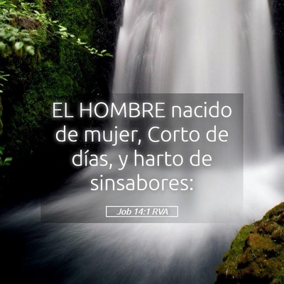 Picture 05 - Job 14:1 RVA - EL HOMBRE nacido de mujer, Corto de días, y - Bible Verse Picture