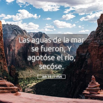 Picture 05 - Job 14:11 RVA - Las aguas de la mar se fueron, Y agotóse el - Bible Verse Picture