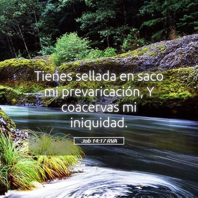 Picture 05 - Job 14:17 RVA - Tienes sellada en saco mi prevaricación, Y - Bible Verse Picture