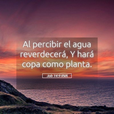 Picture 05 - Job 14:9 RVA - Al percibir el agua reverdecerá, Y hará copa - Bible Verse Picture