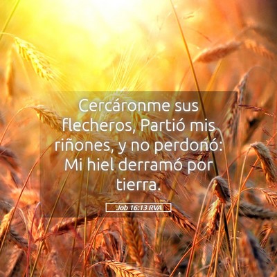 Picture 05 - Job 16:13 RVA - Cercáronme sus flecheros, Partió mis riñones, - Bible Verse Picture