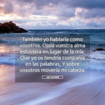 Picture 05 - Job 16:4 RVA - También yo hablaría como vosotros. Ojalá - Bible Verse Picture