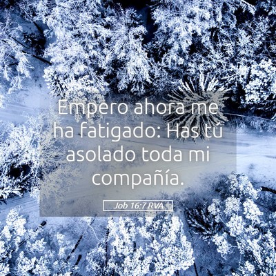 Picture 05 - Job 16:7 RVA - Empero ahora me ha fatigado: Has tú asolado toda - Bible Verse Picture