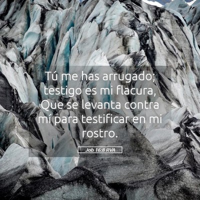 Picture 05 - Job 16:8 RVA - Tú me has arrugado; testigo es mi flacura, Que - Bible Verse Picture