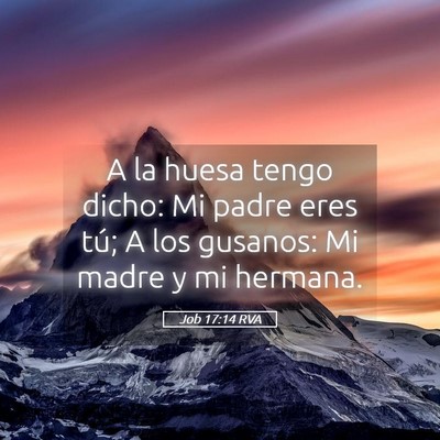 Picture 05 - Job 17:14 RVA - A la huesa tengo dicho: Mi padre eres tú; A los - Bible Verse Picture